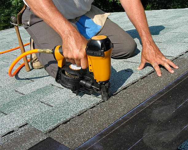 Best Roof Gutter Cleaning  in Bowling Green, KY